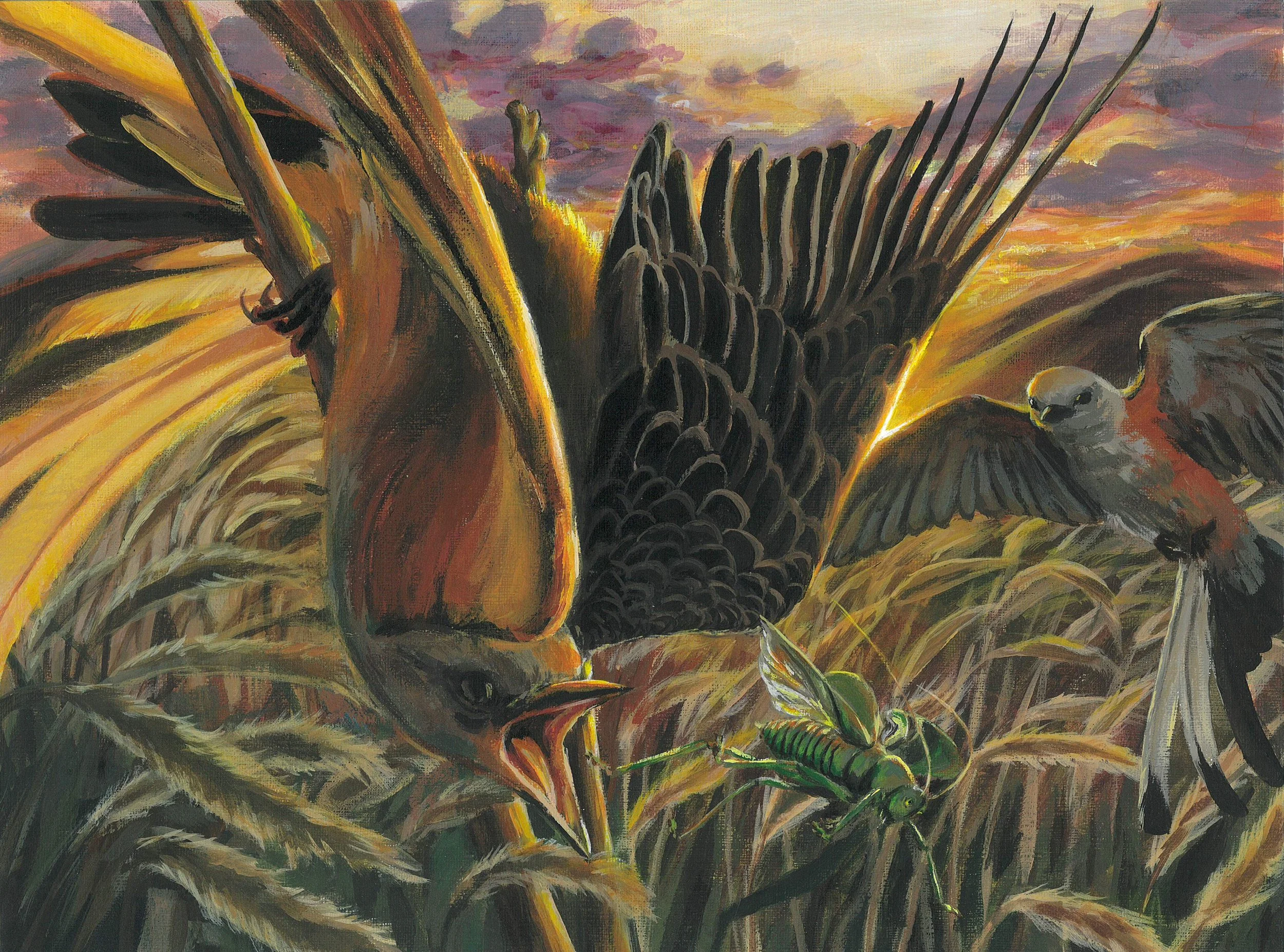2024 Songbird Art Winners | Celebrate Bird Art - Get Inspired